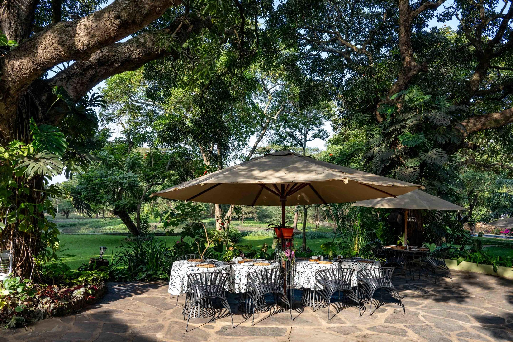 Mount Meru Game Lodge thumbnail 8